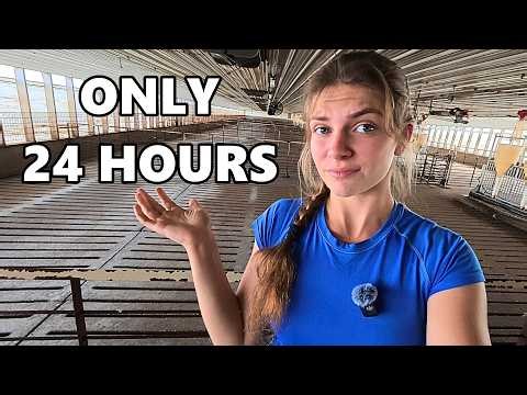 Day In The Life Of An 18 Year Old Farm Girl