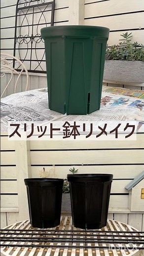 緑のスリット鉢をオシャレにリメイクしてクレマチスを植える🌟#庭作業 #shorts #スリット鉢