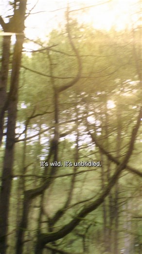 Step back into Oz ✨ Go behind-the-scenes in this Wicked: For Good first look. In theatres now! | Marcus Addison Cinema