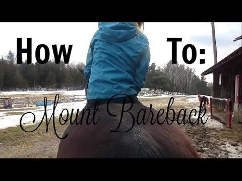 How to Vault on a Horse | Mounting Bareback | EquineCass