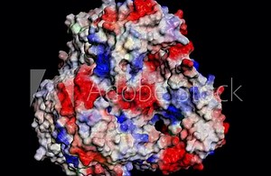 Structure of OmpK36 Porin from Carbapenem-Resistant Klebsiella pneumoniae, 3D Molecule Electrostatic Surface, spinning, 4K Stock Video