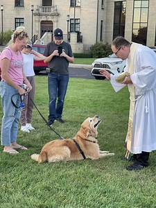 65 reactions · 3 comments | On the eve of the Feast of St. Francis of...