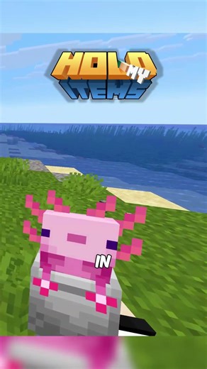 Java Vs Bedrock Animation