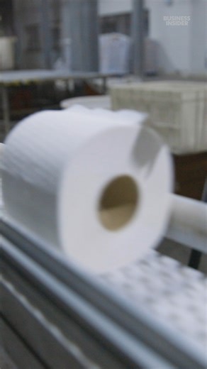 Unlike trees, #bamboo can regrow from its roots after it's cut down, and it can be harvested every few years. #ecofriendly #sustainability | Insider Science