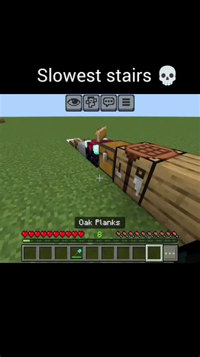 Slowest stairs 💀 | #minecraft