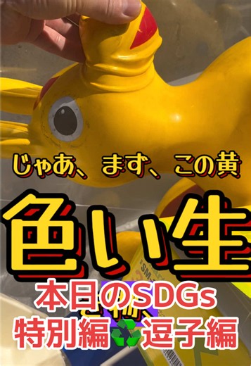 本日のSDGs特別編です。逗子編です。逗子の街でもご自由にお持ちくださいコーナーがありました☺️でも、よく分かんない物しか無かったので、ぶっちゃけいらない😂 #リサイクル #♻️ #sdgs #ゴミ削減 #逗子