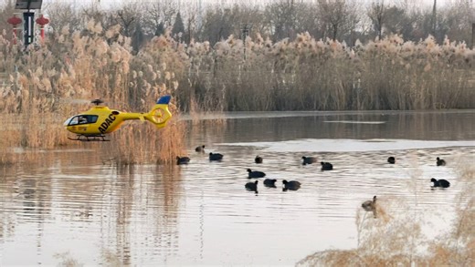 试飞一下跃邦450级EC135