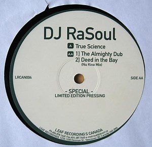 DJ RaSoul - True Science