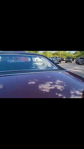 1969 Chevelle SS 427 4 speed TRUE SS with build sheet part 2 Follow @chevychevellelover Follow @chevychevellelover .... ..... #chevelle #chevychevellelover #classicchevy #chevyonly #chevelless #chevylove #classiccarsofinstagram #chevychevelle #chevymuscle #chevyracing #70chevelle #chevroletchevelle #69chevelle #chevysonly #68chevelle #classicchevys #chevellemalibu #1969chevelle #sschevelle #chevychevelless #chevelleporn #chevelless396 #chevelleowners #69chevelless #classicchevelle #69chevelless3