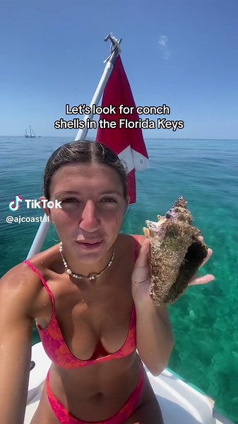 Exploring Florida Keys for Unique Conch Shells