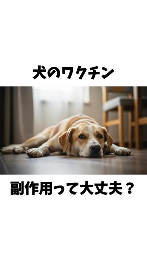 犬のワクチン、副作用って大丈夫？ #犬 #ペット #雑学 #動物