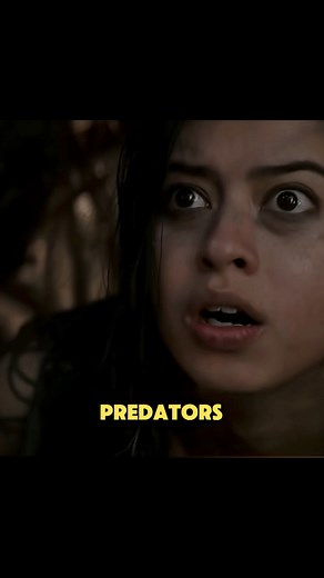 8.9K views · 198 reactions | Do you know the 13 Honor Rules Predators must follow¿ #foryou #foryoupage #predator #predatormovies | CinematicDetectives | Facebook