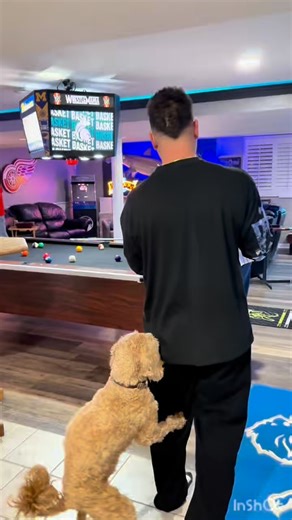 When you’ll do anything to get the the perfect shot 🎬 Big things coming to TronVision Enterprises 👀 🔥 Stay tuned….next level loading this week⚡🙌 #mancave #epicfail #dogsofinstagram #doglover #videoshoot | Tronvisionjumbotron