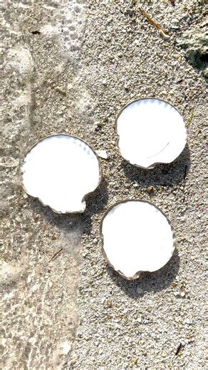 I had so much fun making these DIY Seashell Candles, but I didn’t get it right the first time. My original plan for these DIY Seashell Candles was to place a tea light candle in the center of each shell and then pour additional melted hot candle wax over and around it. But that did not work! I think it would have if the shells had been deeper, but because these were shallow shells the center tea light candle ended up being well above the wax puddle around it. So I decided to start over. Thankful