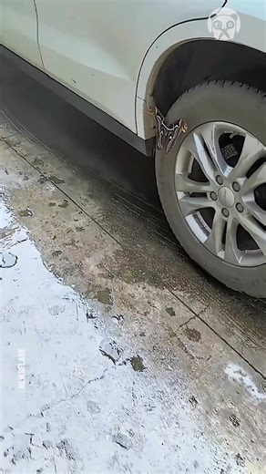 17K views · 153 reactions | Mesmerizing moth is spotted near a car | Bored Panda Animals | Facebook