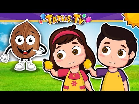 Ceviz Adam Şip Şap Şop · Köpeğim Hav Hav Der · Pazara Gidelim · 3 Şarkı · Tatlış Tv