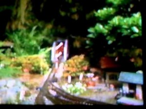 Awesome Trains part 2: Garden Railroading segment music piece