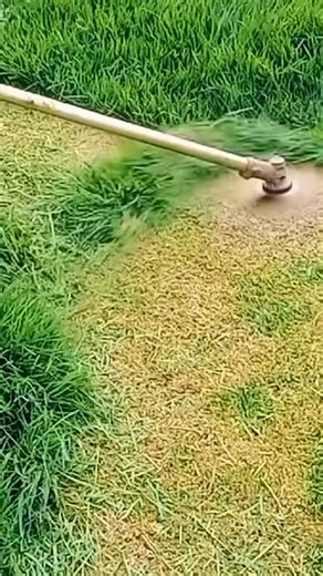 Oddly Satisfying Sensations | ASMR | cutt!  #Perfect #lawntok...