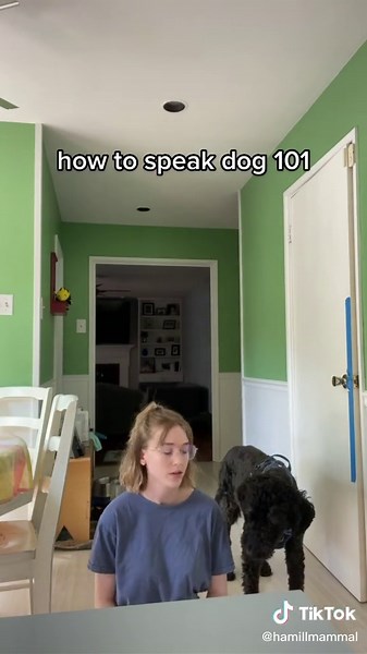 How to Say Hi in Dog Language - Speak Dog Tutorial