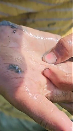 Catching Catfish with Bare Hands! | Village Fishing Life