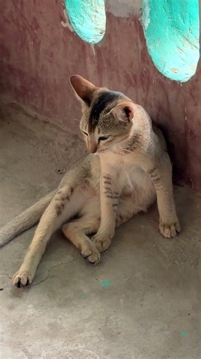 #shorts // Aj dada banalo chiness candy // #squidgame #candy