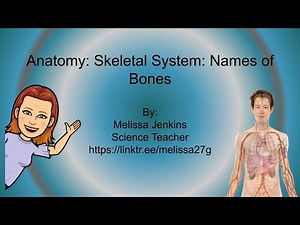 Skeletal System: Names of Bones (anatomy lesson)