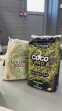 Living Soil vs. Coco side-by-side