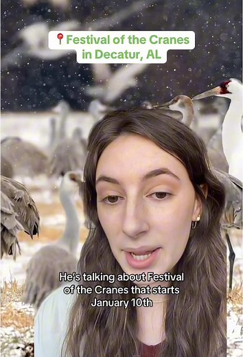 Festival of the Cranes: Nature Celebration in Decatur, AL