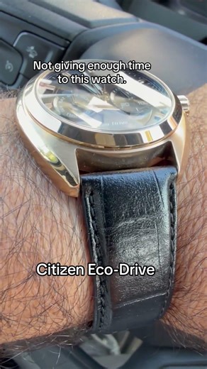 This Citizen Eco-drive watch just does not get enough wrist time.