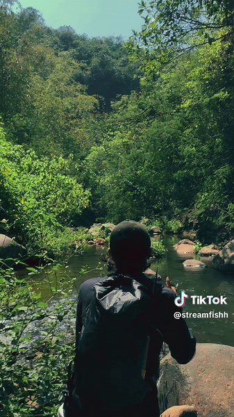 Casting Stream Fishing Techniques for Beginners