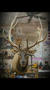 2018 hunt unit 5A AZ