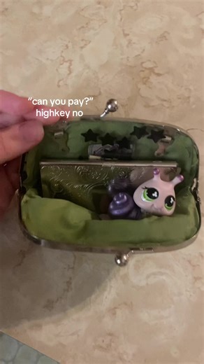 also the metal thing is my card holder ✌🏻🥹#fypシ #whymsical #xyzbca #lps #viral_video