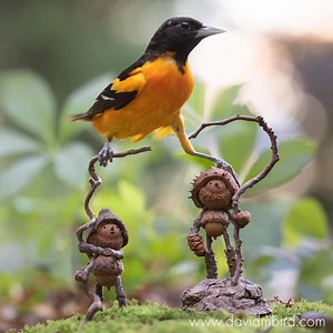 343K views · 10K reactions | David M. Bird trabajaba antes para LEGO, ahora crea personajes con semillas, nueves o ramitas que encuentra en el bosque  | Arttra | Facebook