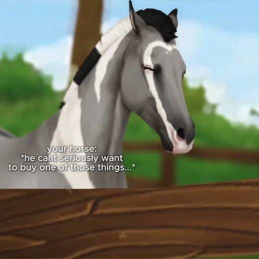 the mule in star stable... #starstable #starstablespoilers #starstablemule