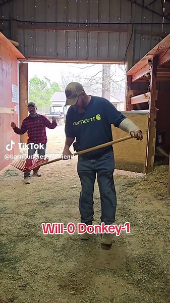 Donkey Kick Exercise Benefits for Full-Body Strength