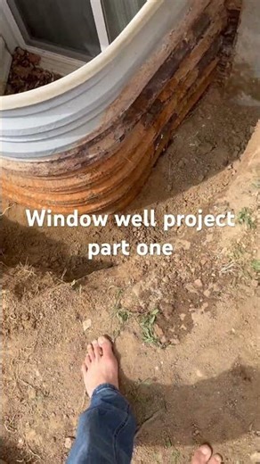 Replacing a rusty window well#project #digging #byhand #barefoot #grounded #shalomyhomey #hardwork
