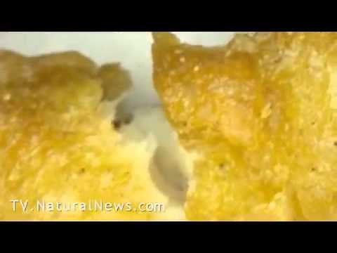 McDonalds Chicken McNuggets Under A Microscope: Found Suspicious Blue Objects & Strange Fibers