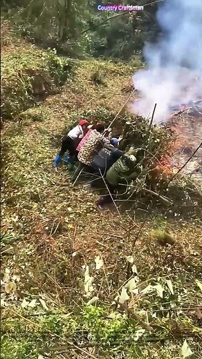 Field Burning: A Traditional Agricultural Practice