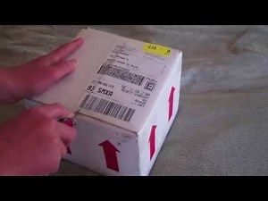 Bearded Dragon Unboxing