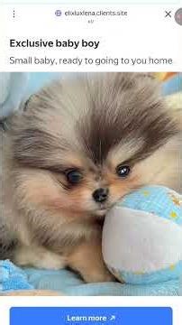 tutorial como baixar Terraria mod menu atualizado 2025