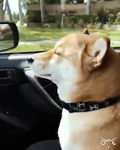 14K views · 522 reactions | :D | Dance TV | Facebook