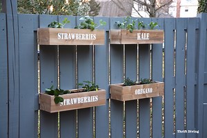 How to Make a Hanging Fence Garden