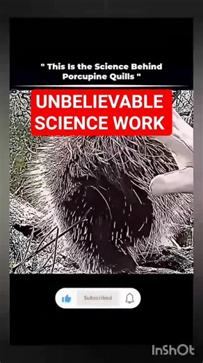 Amazing Science Arts Experiments That Look Like Magic 🎨🔬