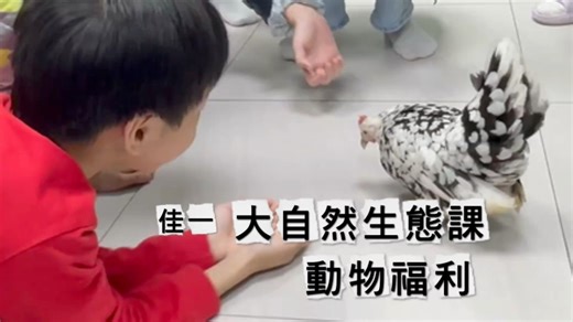 原來動物福利不是強調動物權，而是更加關注人道利用並善待動物！謝謝黑皮老師帶大家認識更多善待動物的可能，也謝謝小助教咕咕雞的陪伴，讓我們收穫滿滿！ #動物權 #大自然生態課 #日本矮雞 | 佳一 First Step