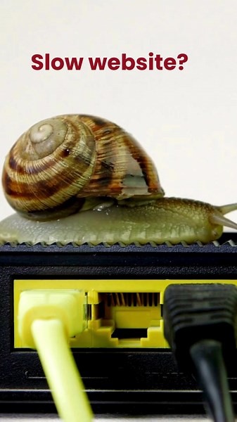 Boost your website speed by compressing images, enabling caching, minimizing HTTP requests, using a CDN, and optimizing your code for faster load times and better SEO! #WebDesign #SEO #WebDevelopment #SiteSpeed #TechTips #emilemeyerwebdesign #designthinking