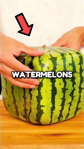 Why square Watermelons Actually Exist🤯😱