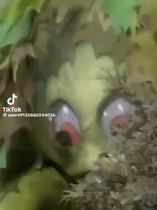 Saturday Morning TV | Thomas Moore