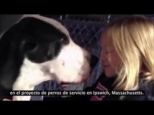 92K views · 1.4K reactions | Power Fm on Reels | Facebook