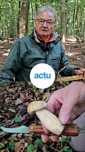 16K views · 85 reactions | Daniel livre ses astuces pour réussir sa cueillette aux champignons狀 | Le Journal des Sables | Facebook