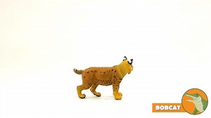 Safari Ltd. Bobcat Figure
